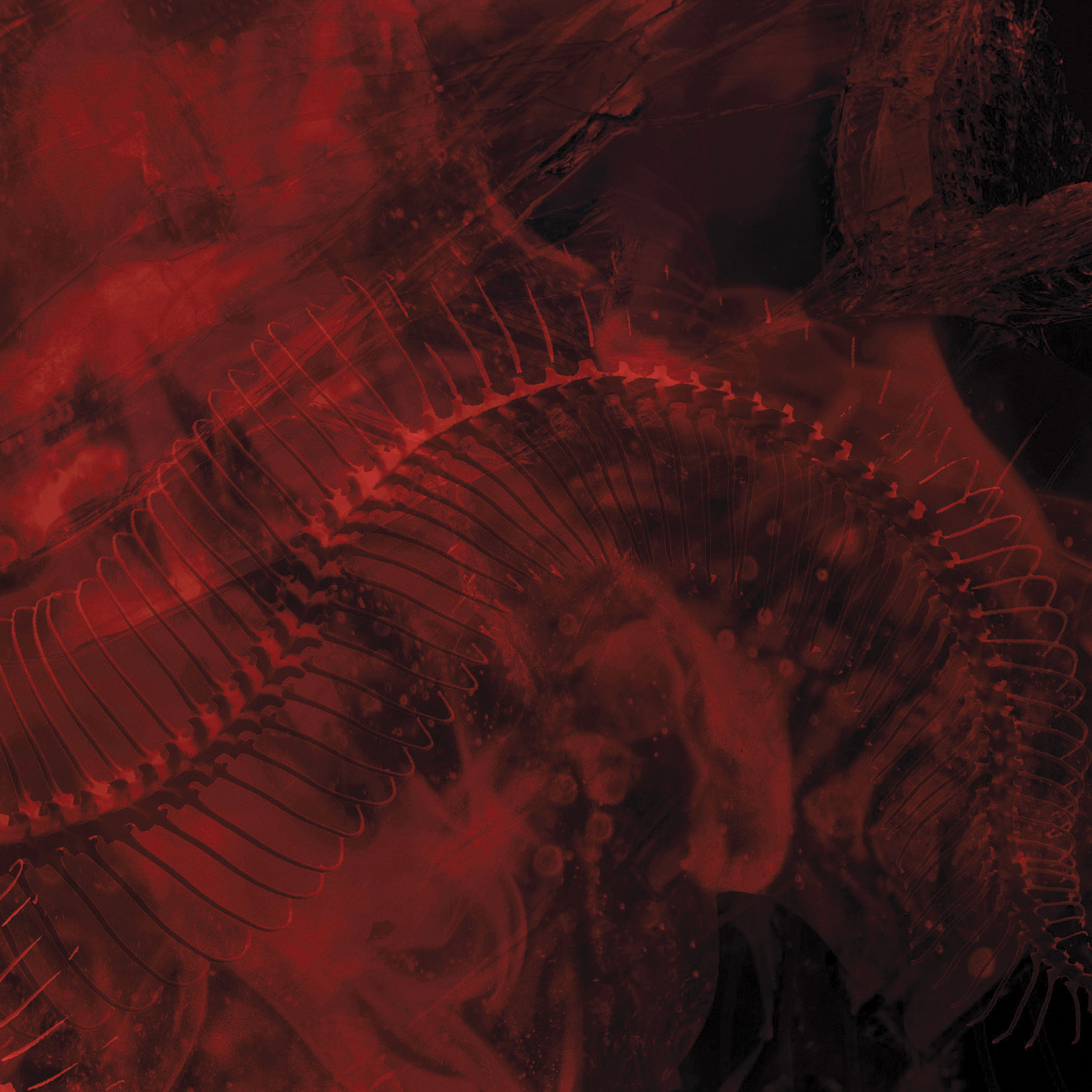 Paradise Lost / Enchantment / 2021